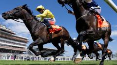 Newbury Racecourse